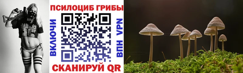 Галлюциногенные грибы Magic Shrooms Донской