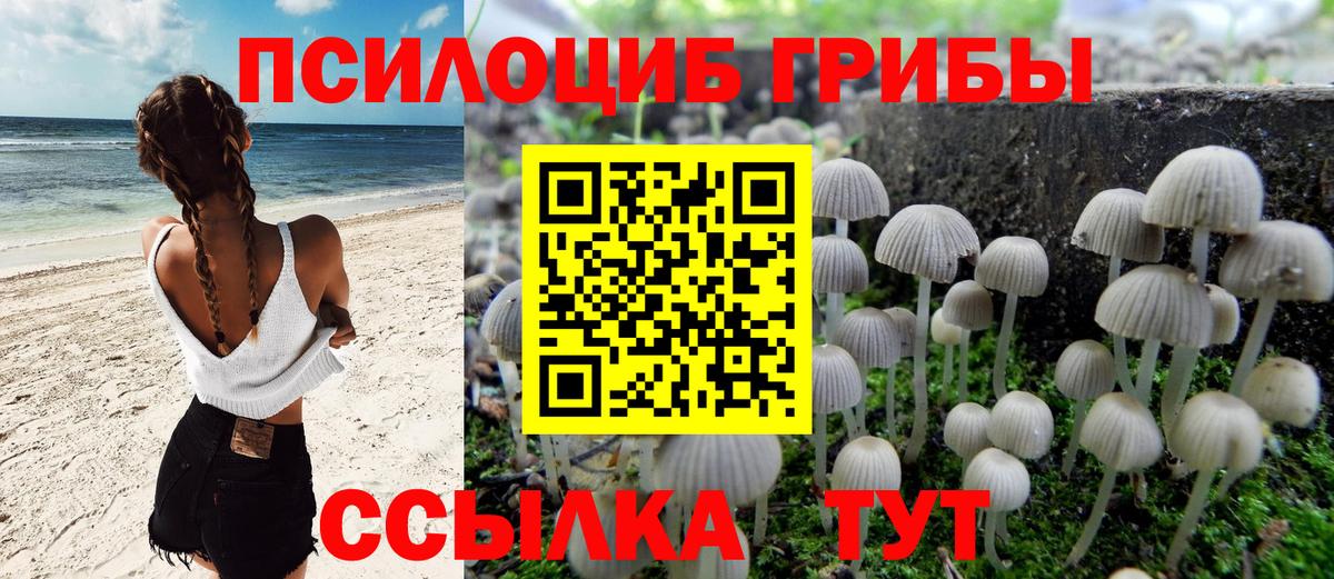 Псилоцибиновые грибы мухоморы Донской