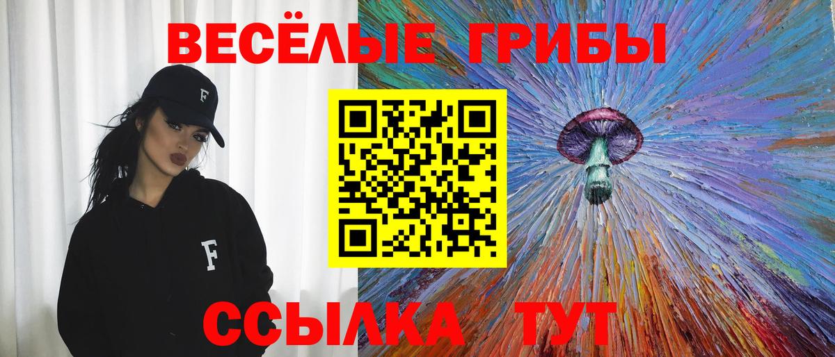 как найти наркотики  Вход с VPN  Донской  Галлюциногенные грибы Psilocybine cubensis 